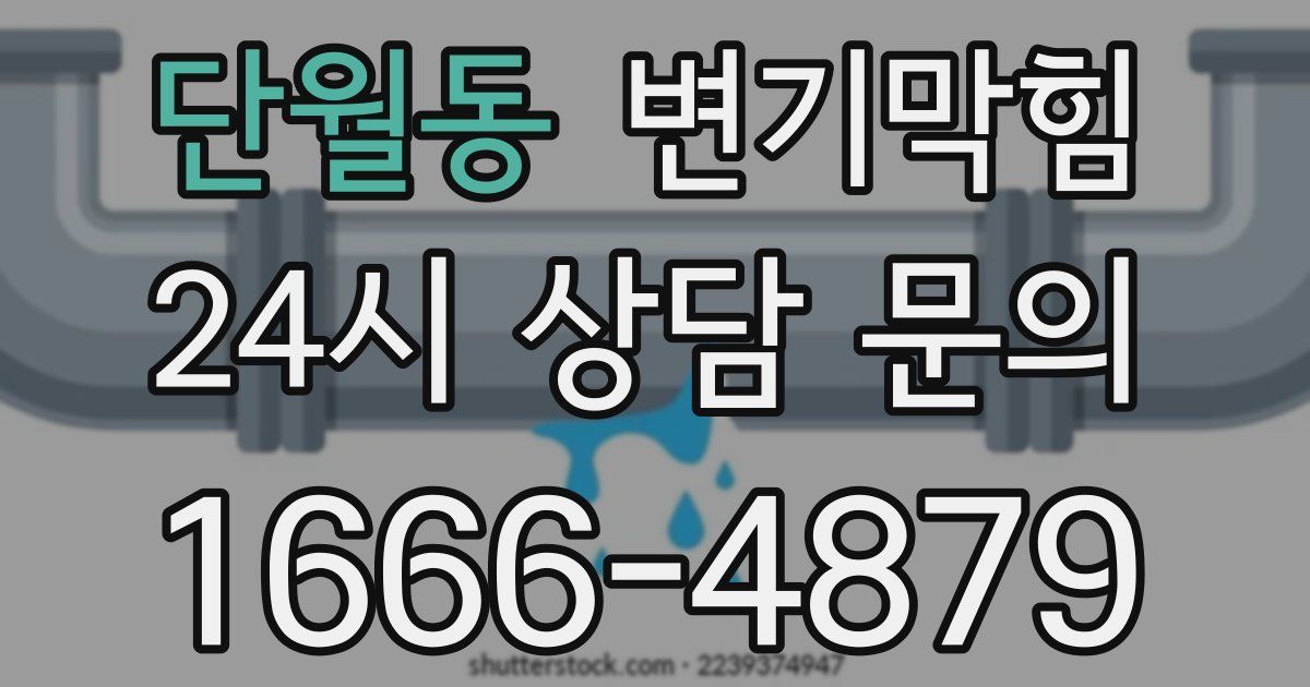 단월동 변기
