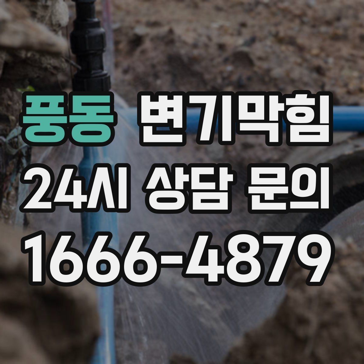 풍동 변기막힘 단독 주택 배수구막힘 실링·코킹 동시