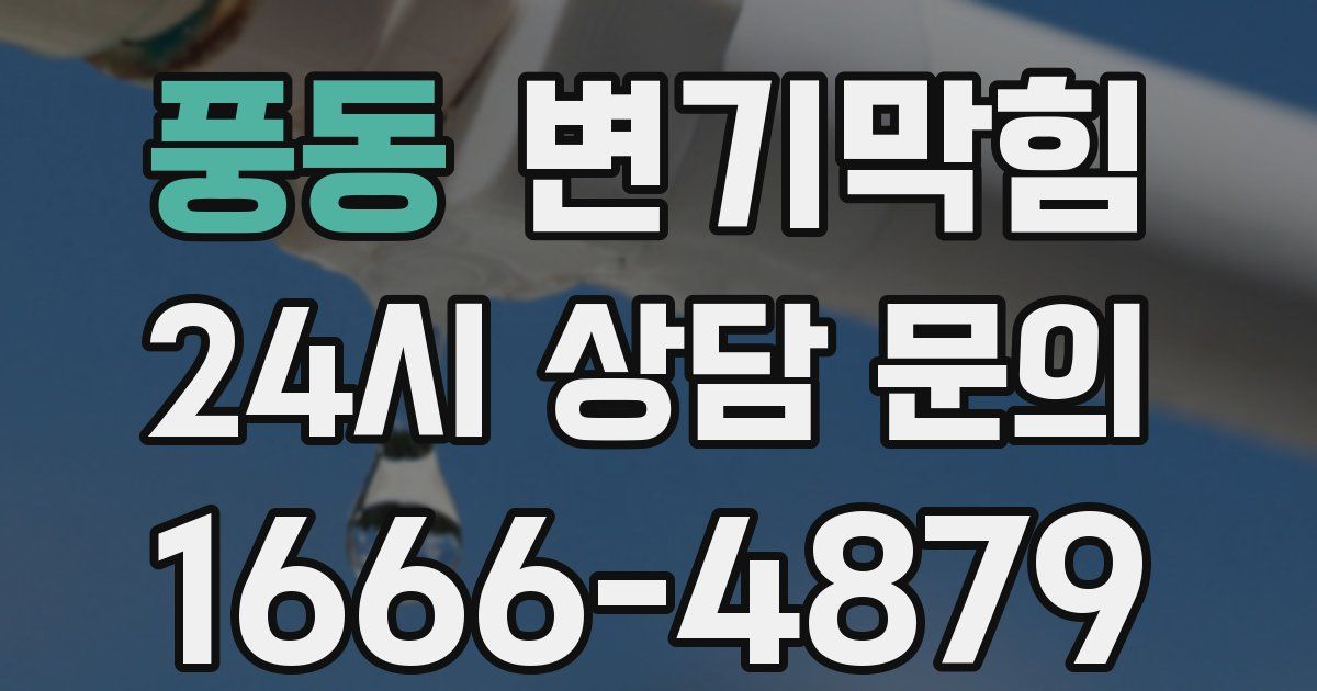 풍동 변기