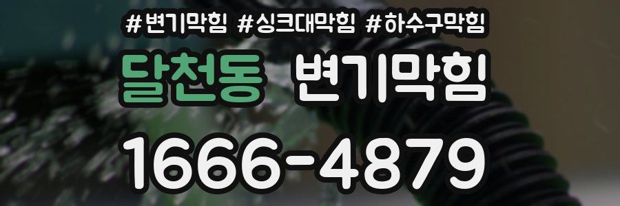 변기막힘