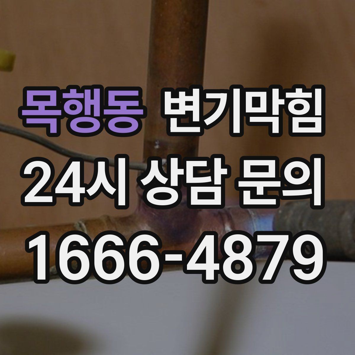 목행동 변기막힘 뚫어뻥 보관과 위생 관리 체크포인트