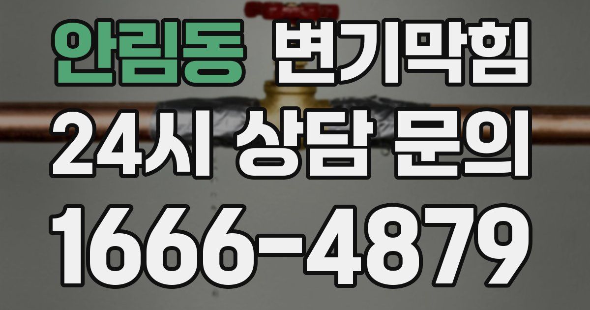 안림동 변기