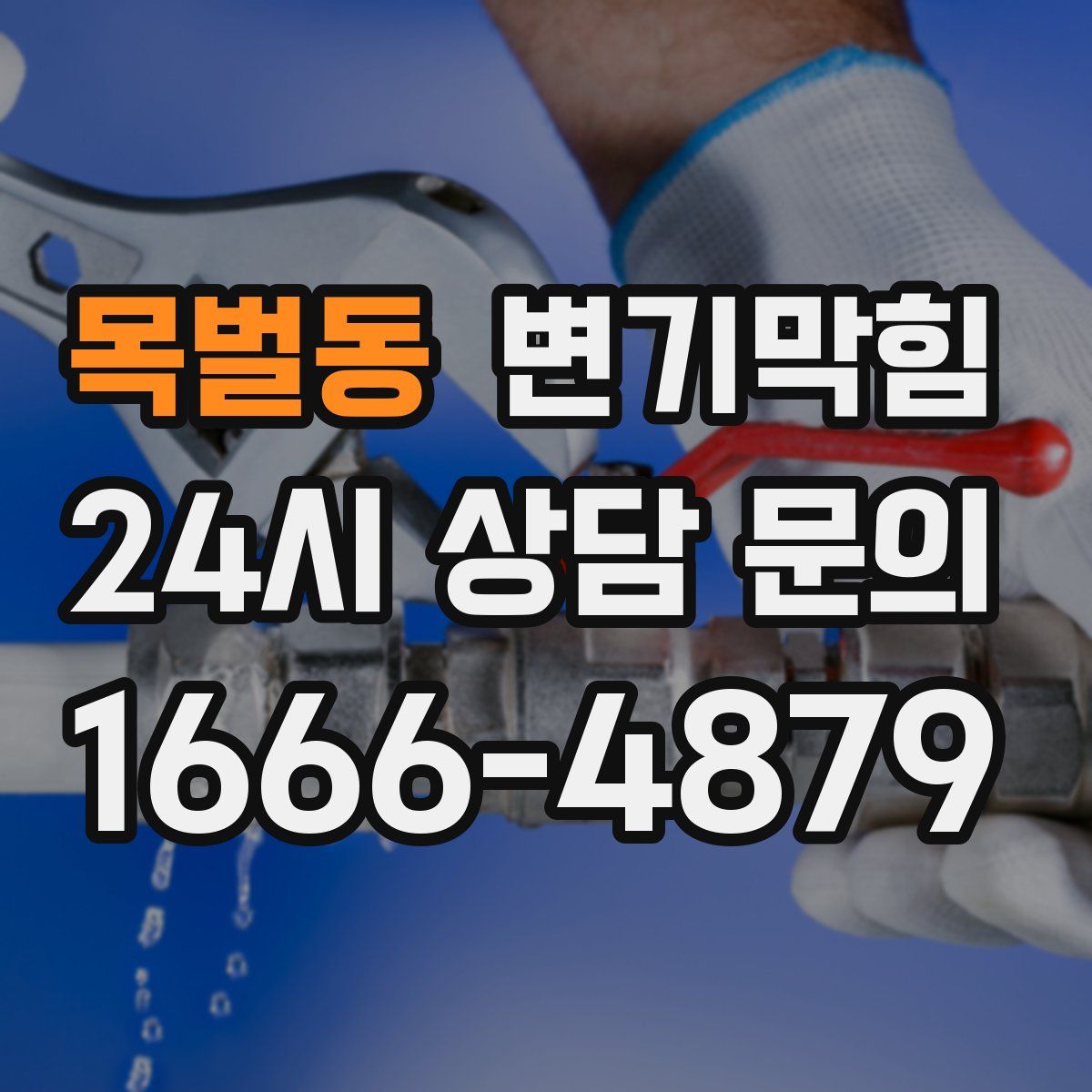 목벌동 변기막힘