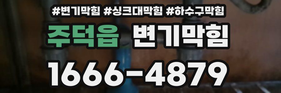 변기막힘