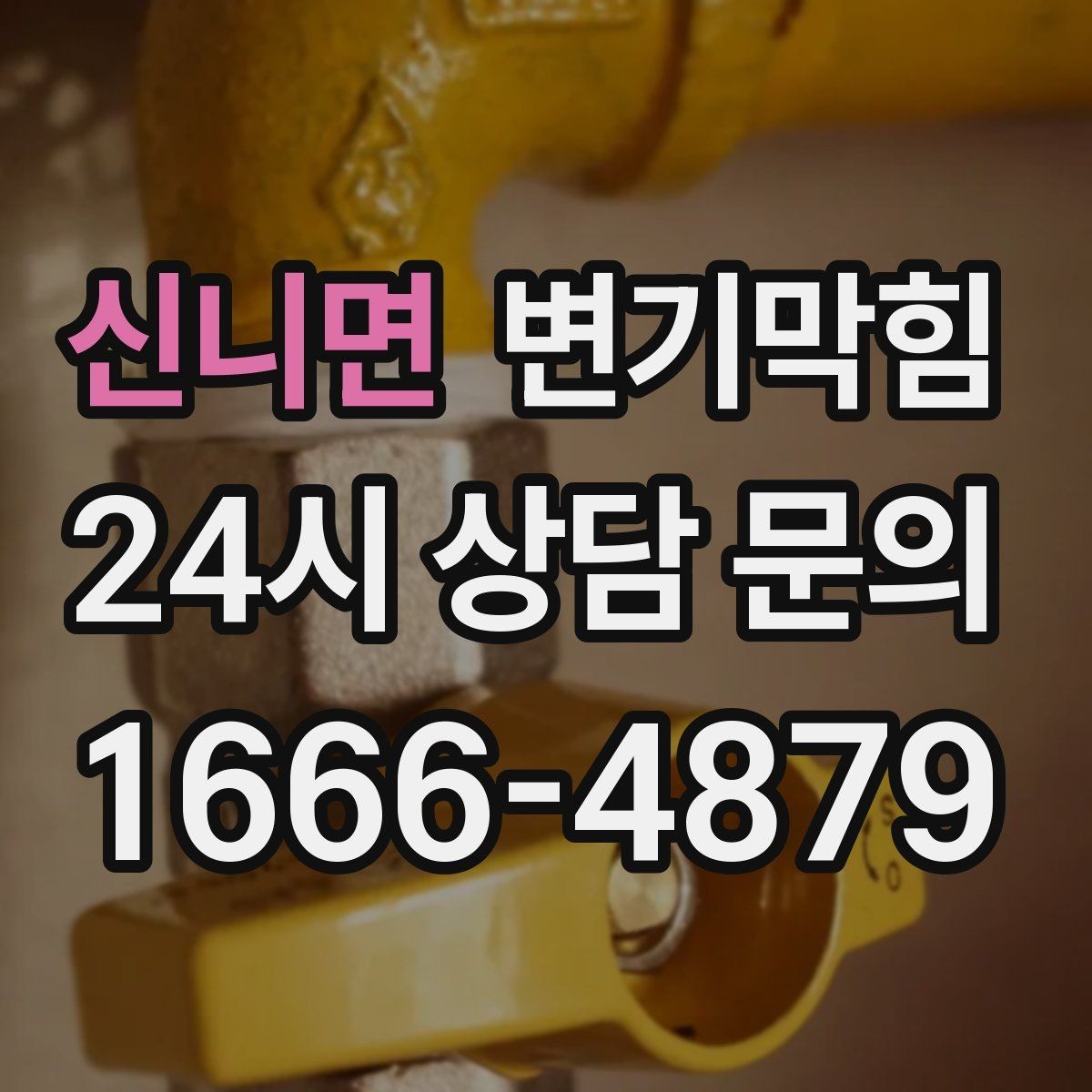 신니면 변기막힘 변기 뚫는 법 사진으로 전후 비교하기
