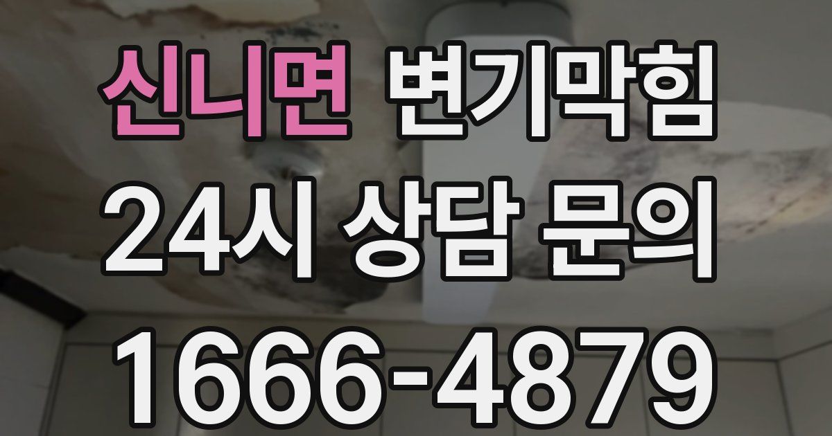신니면 변기