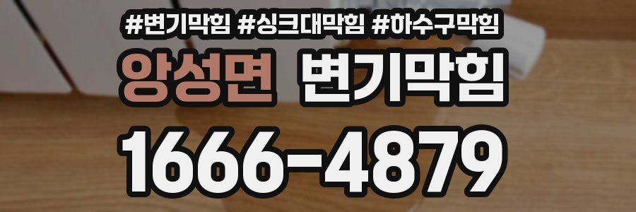 변기막힘