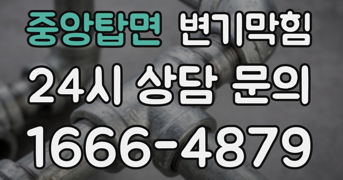 중앙탑면 변기