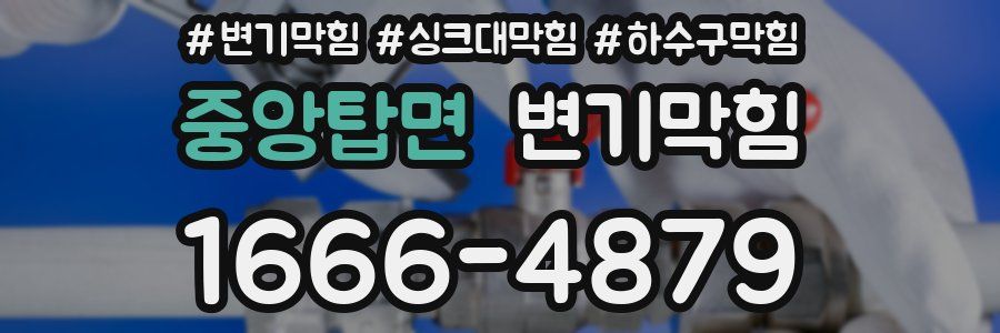 변기막힘