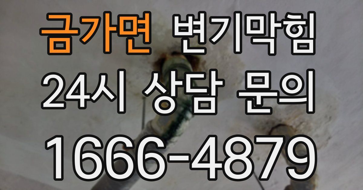 금가면 변기