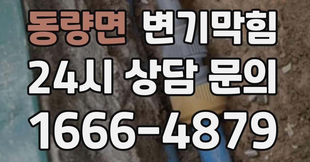 동량면 변기