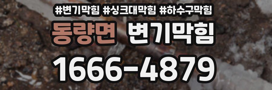 변기막힘