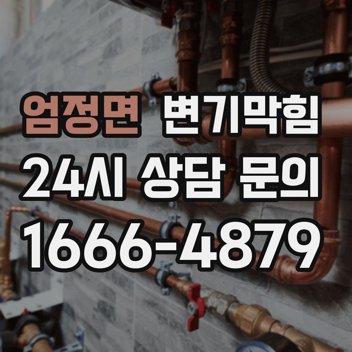 엄정면 변기막힘 변기가막혔을때 겨울철 주의 사항