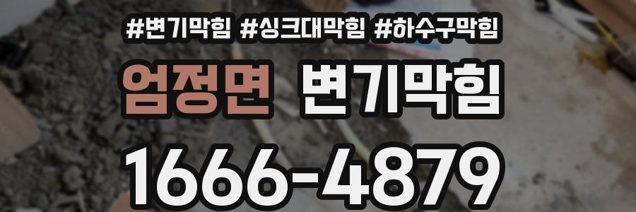 변기막힘