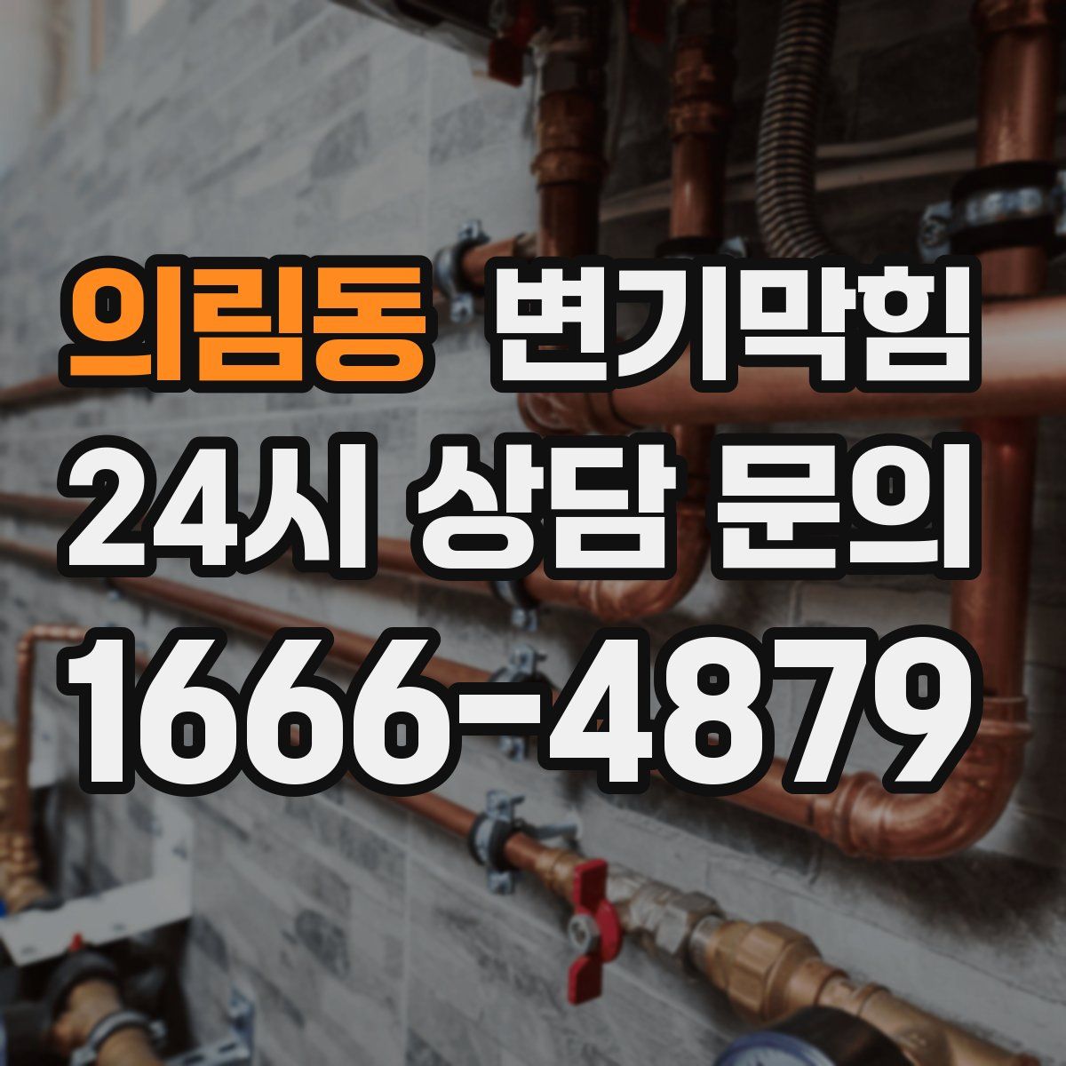 의림동 변기막힘