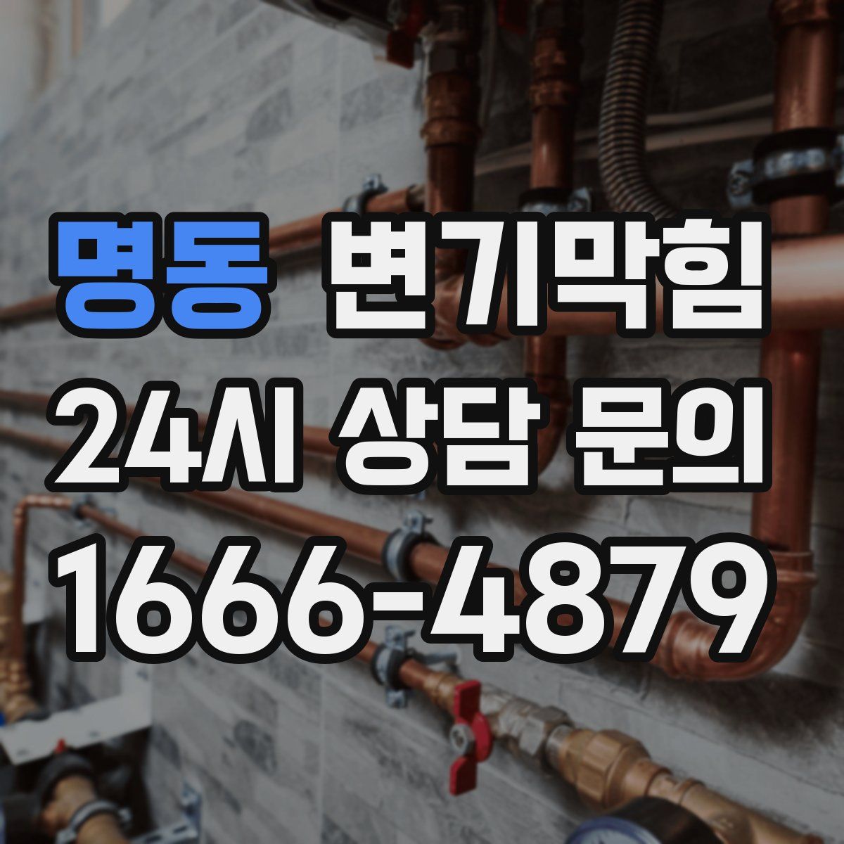 명동 변기막힘