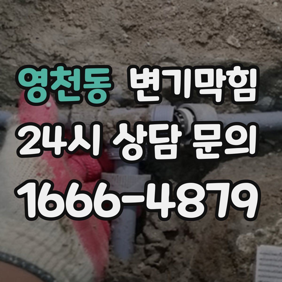 영천동 변기막힘 사무실 화장실역류 회의 일정 보호