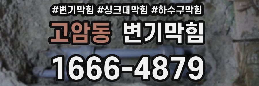 변기막힘