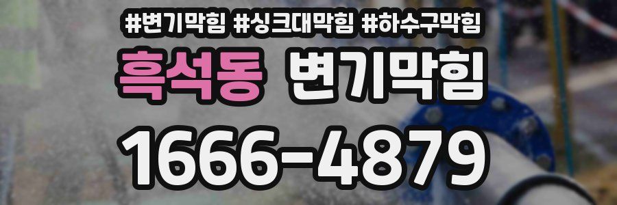 변기막힘