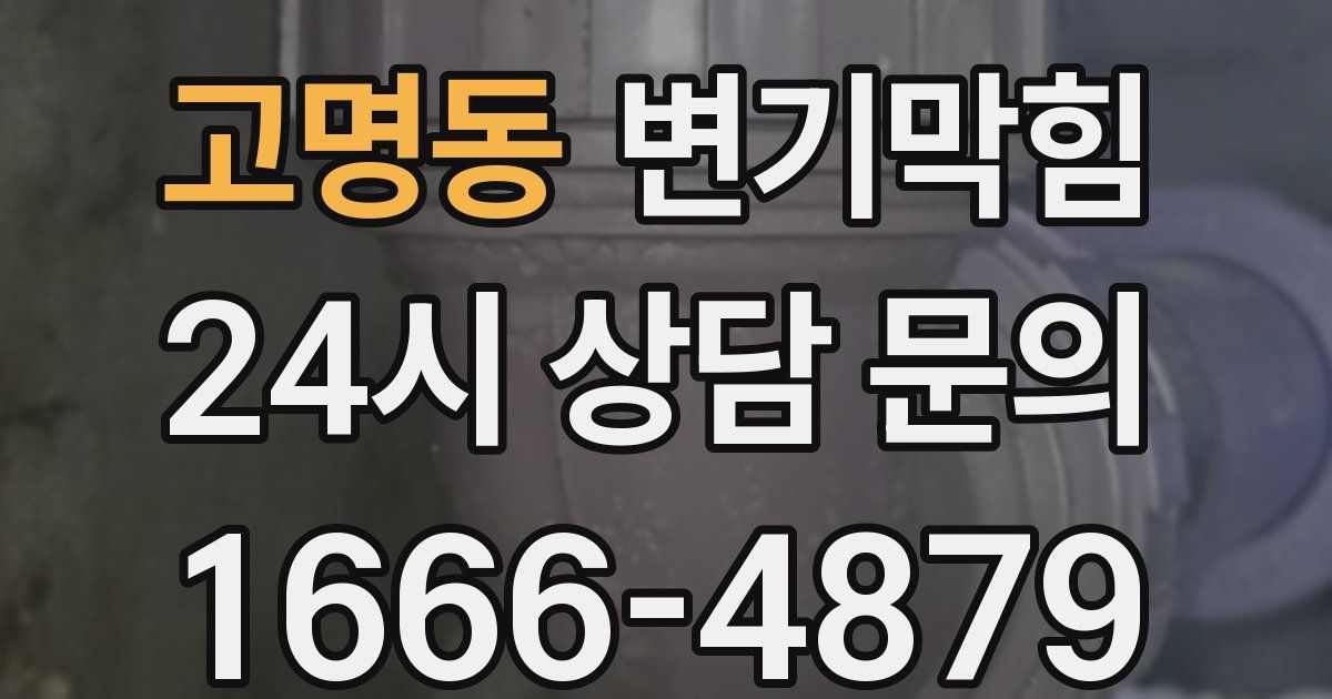 고명동 변기