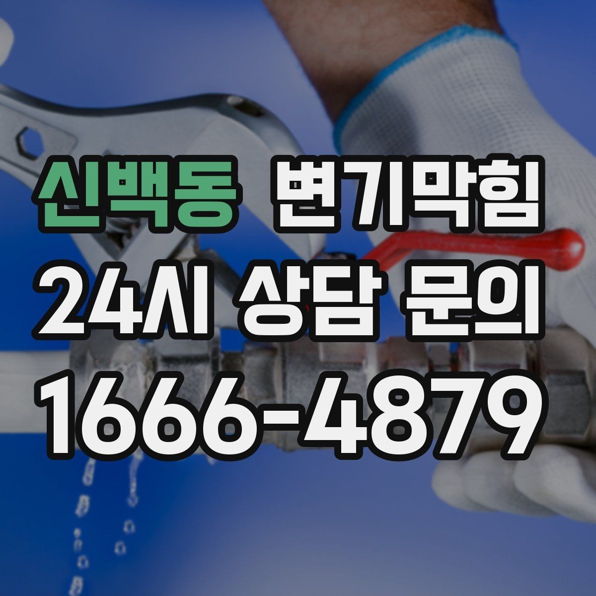 신백동 변기막힘 카페 배수구막힘 오픈 향 유지 성공기