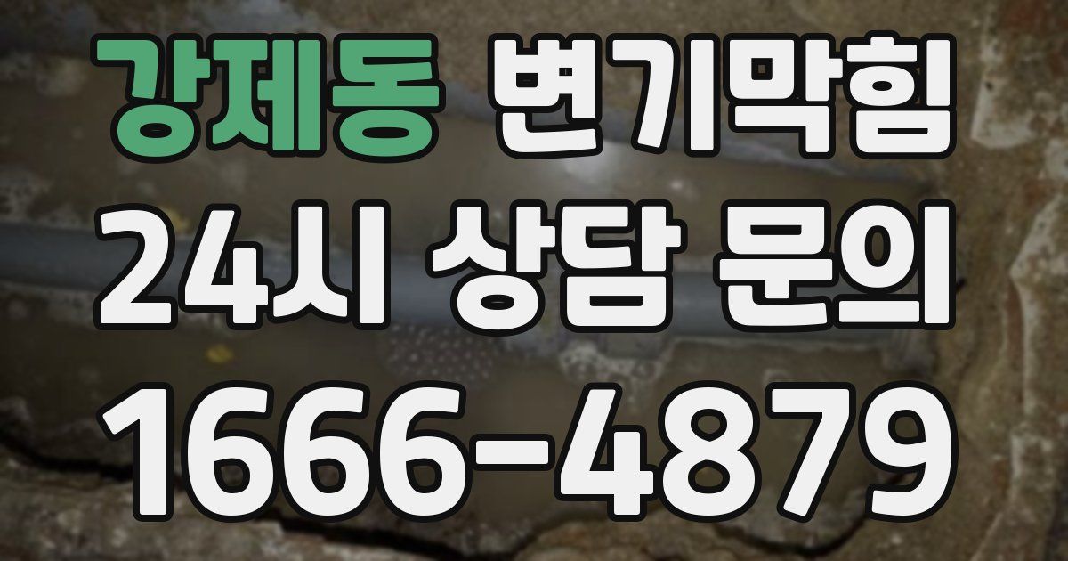 강제동 변기