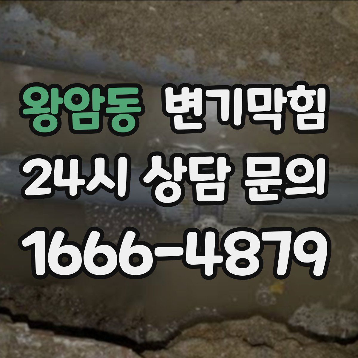 왕암동 변기막힘