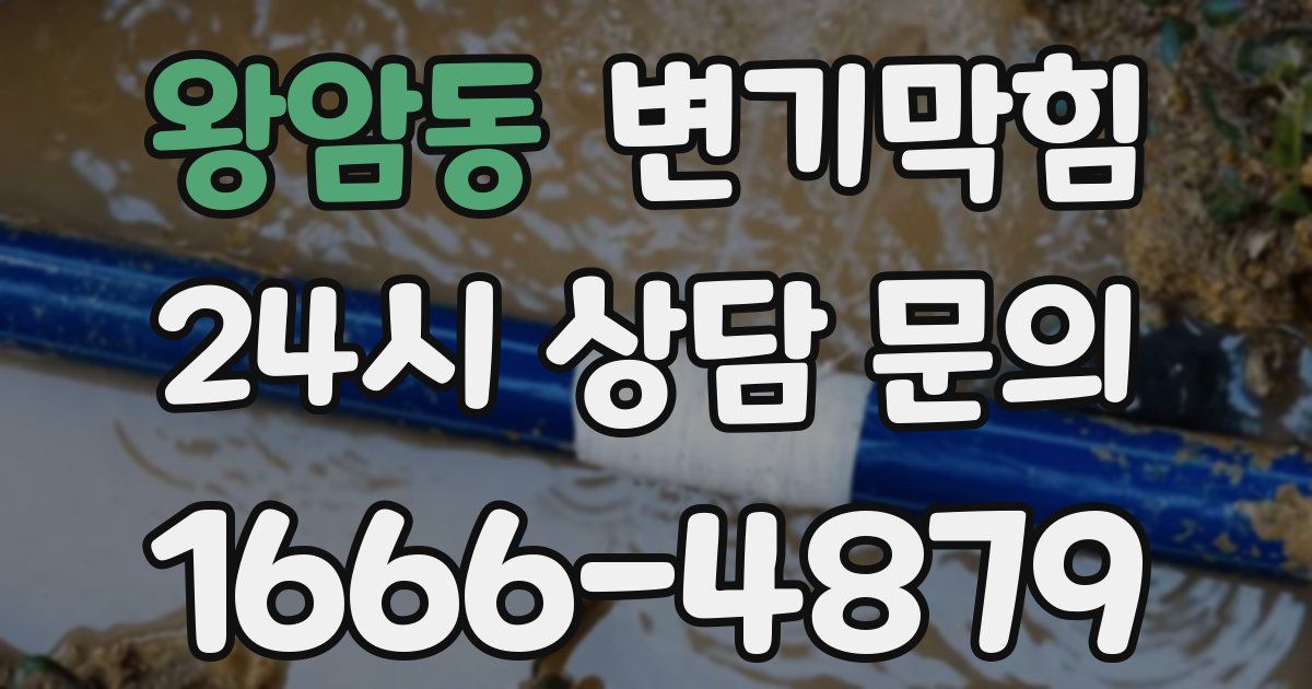 왕암동 변기