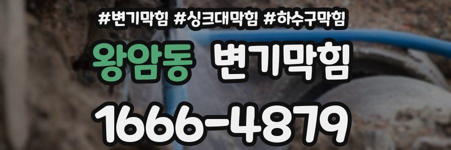 변기막힘