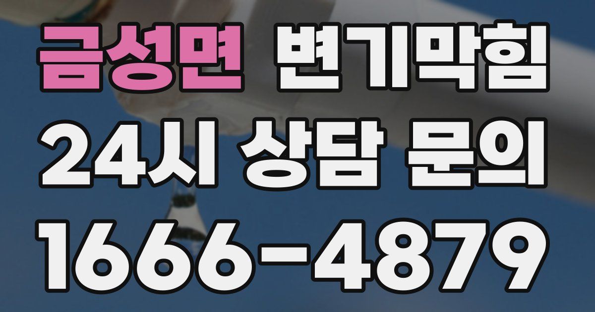 금성면 변기