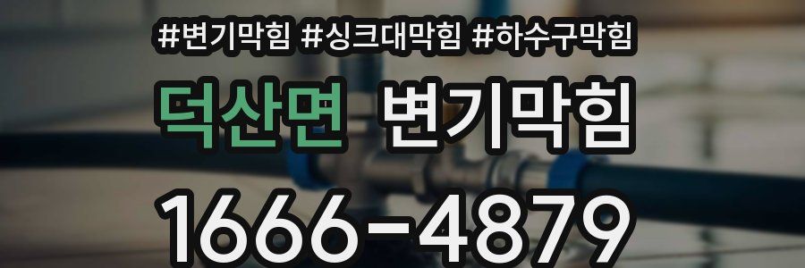 변기막힘