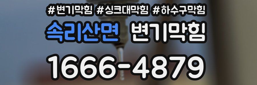 변기막힘