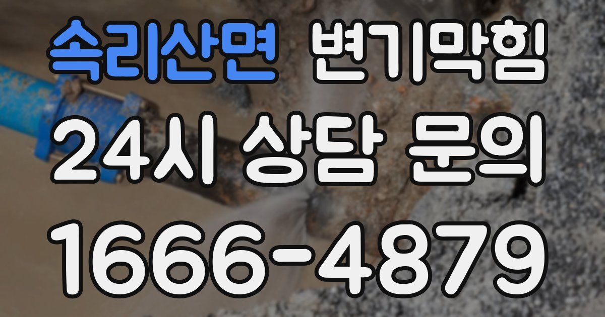 속리산면 변기