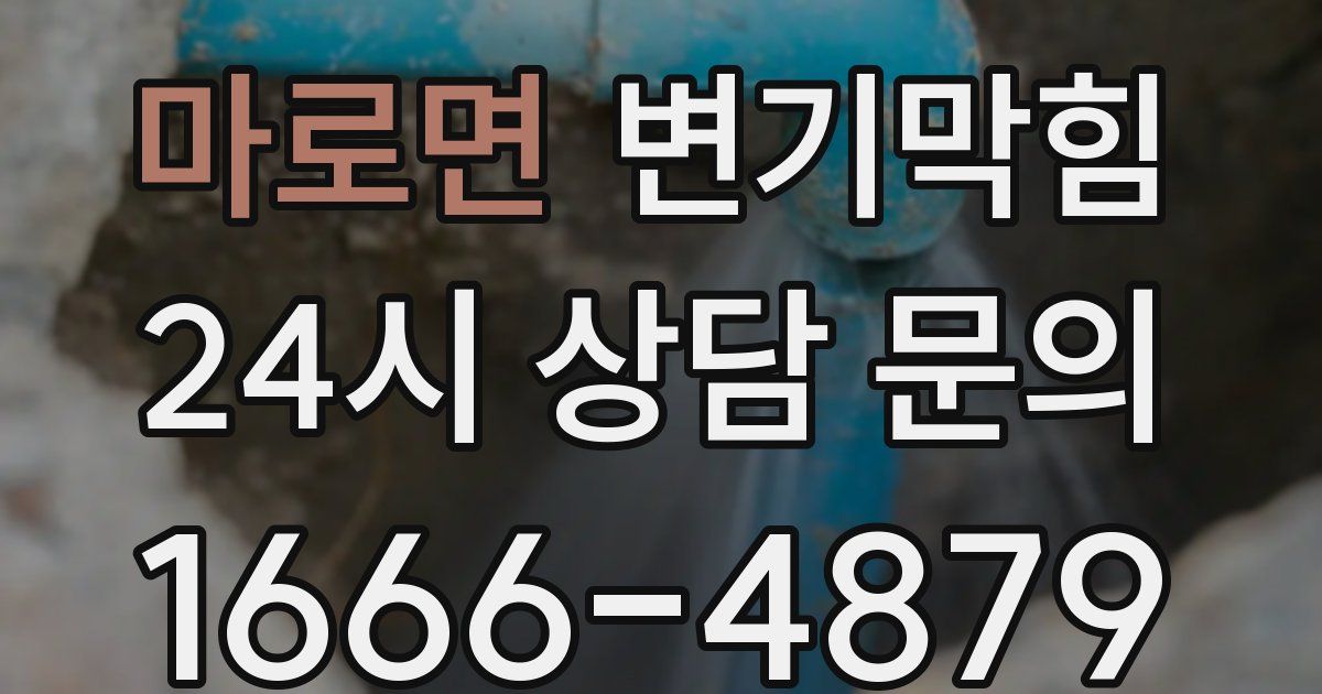 마로면 변기