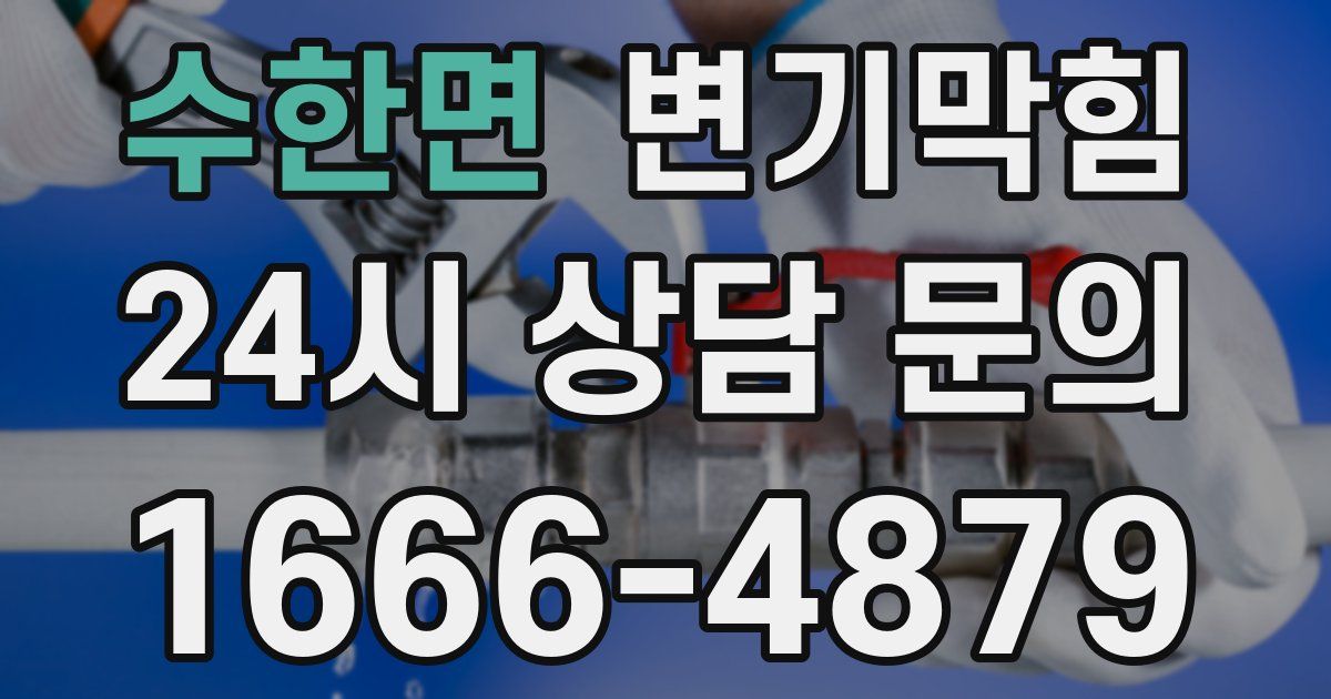수한면 변기