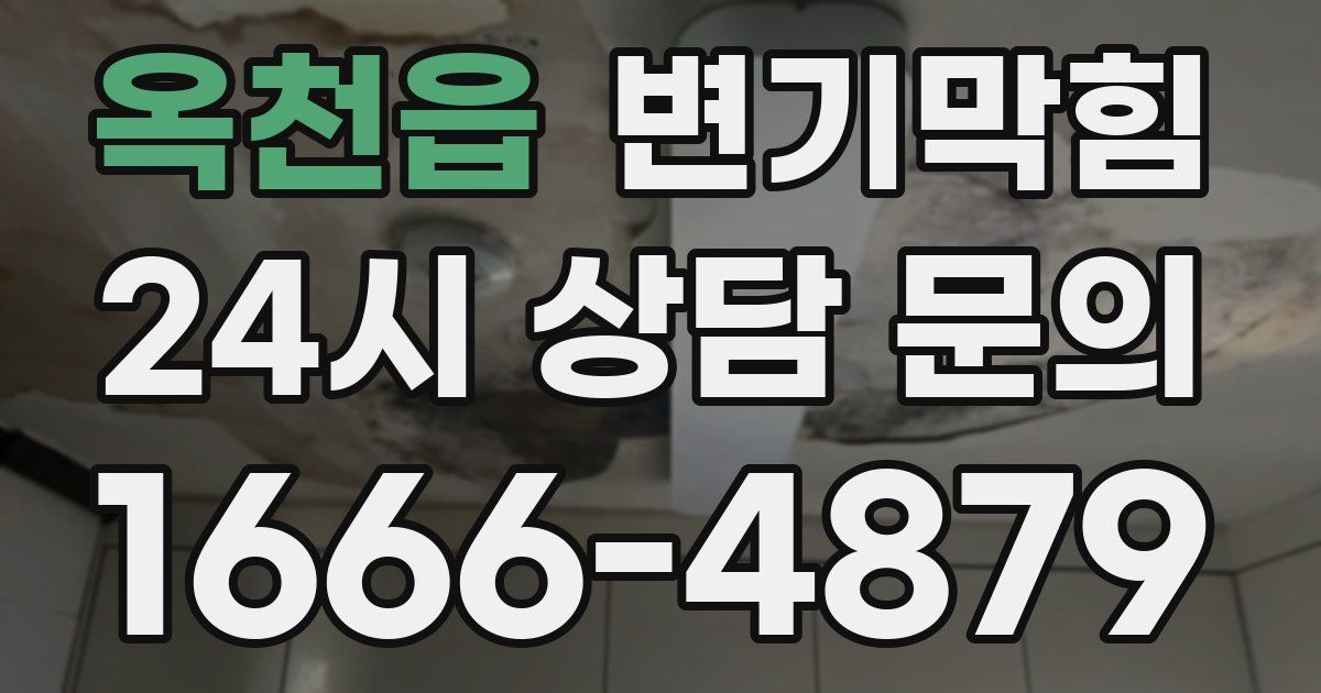 옥천읍 변기