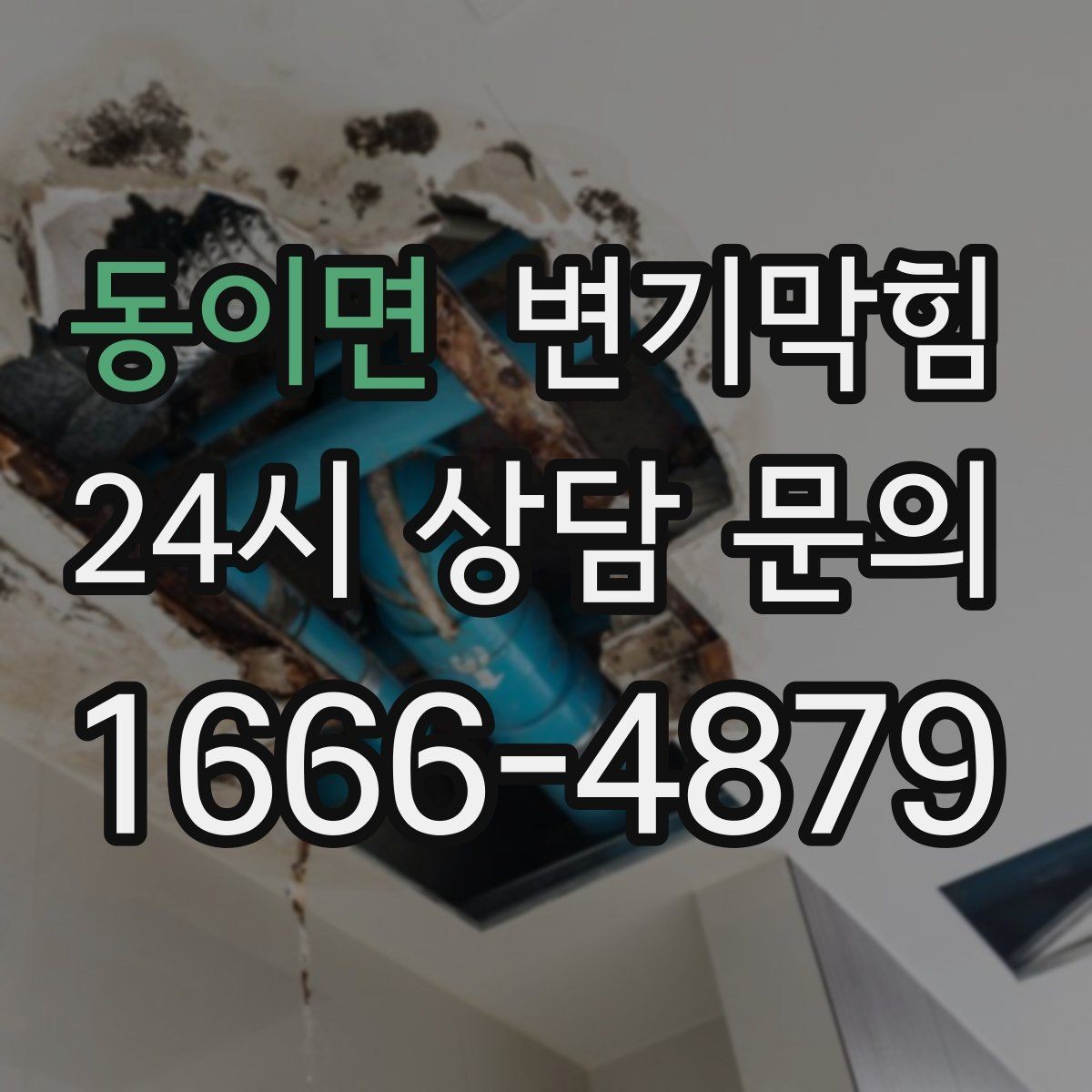 동이면 변기막힘 식당 수봉 회복으로 쾌적도 상승