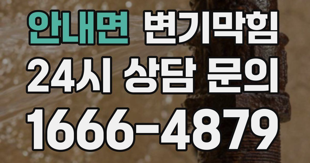 안내면 변기