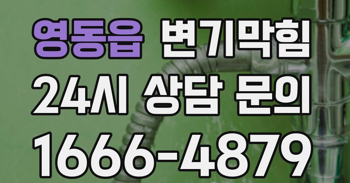 영동읍 변기