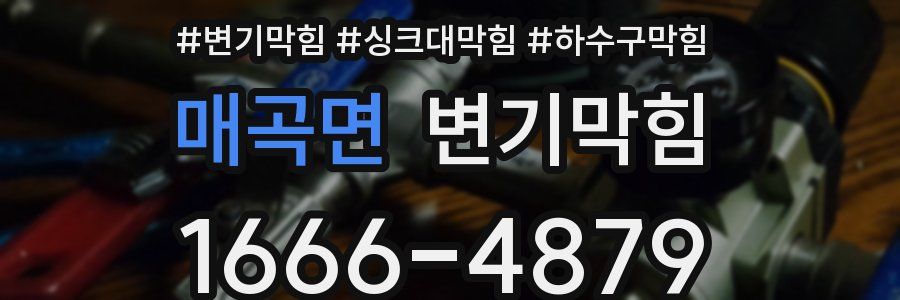 변기막힘