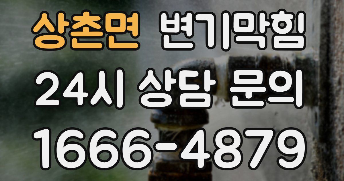 상촌면 변기