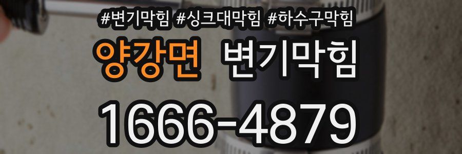 변기막힘