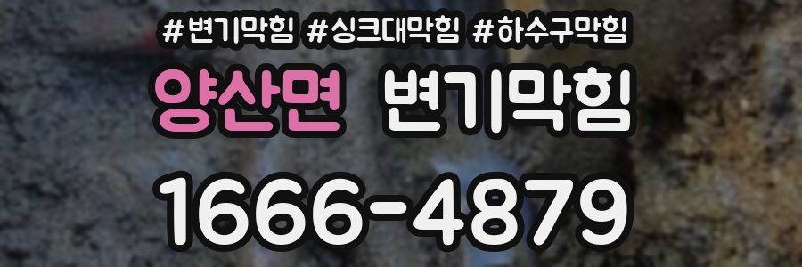 변기막힘