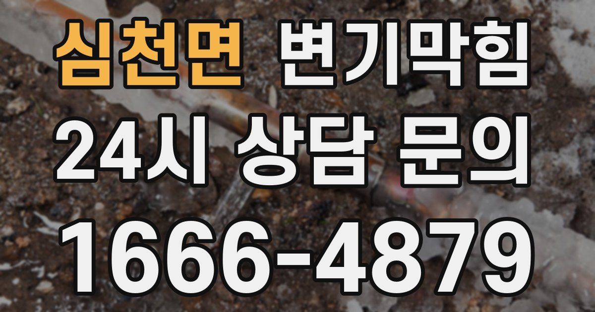 심천면 변기