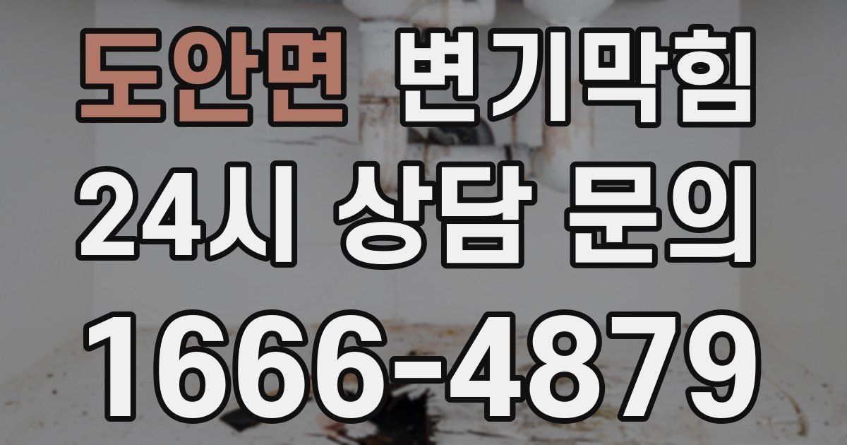 도안면 변기