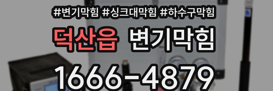 변기막힘