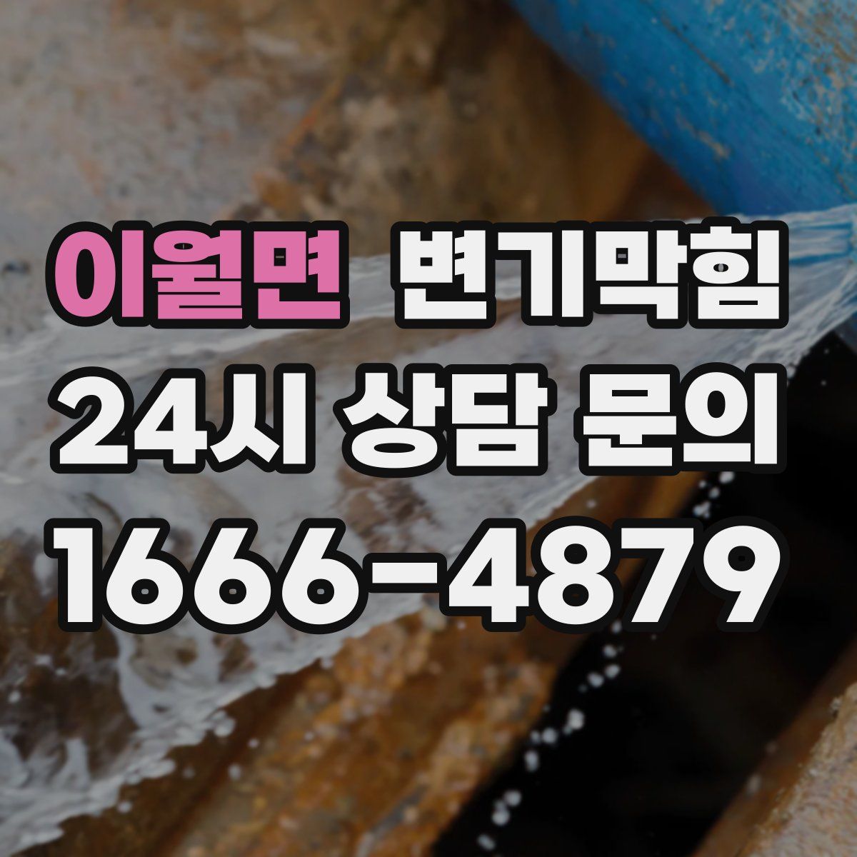 이월면 변기막힘