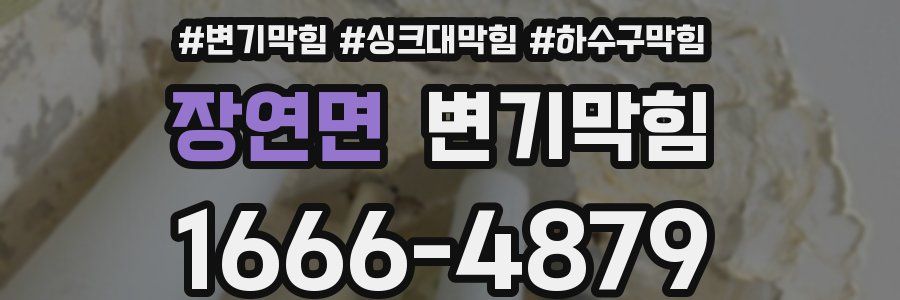 변기막힘