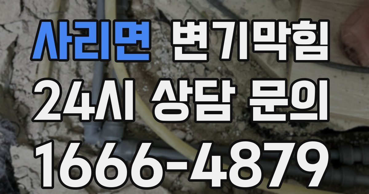 사리면 변기