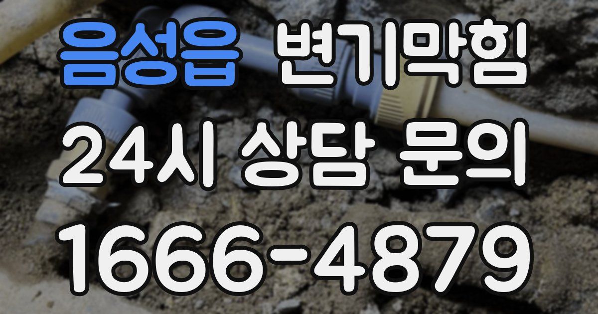 음성읍 변기